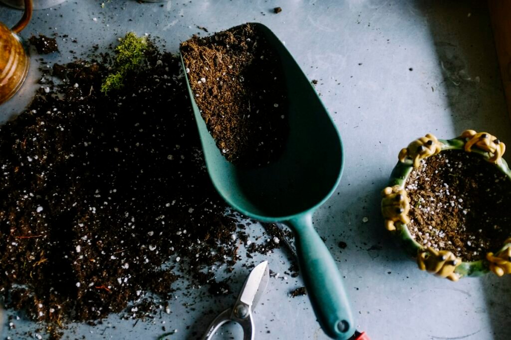 Illustrative stock photo of houseplants